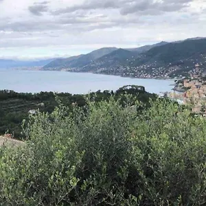 Acqua Marina Camogli